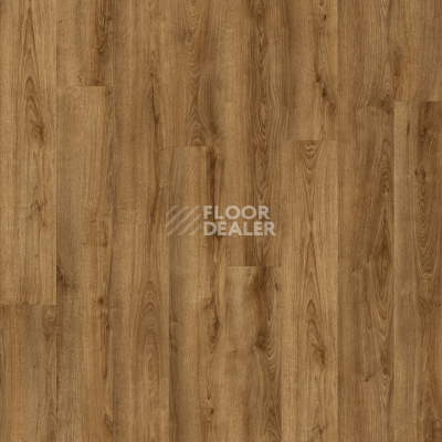 Кварцвиниловые полы Moduleo Next дерево Shelby Oak 853 фото 1 | FLOORDEALER